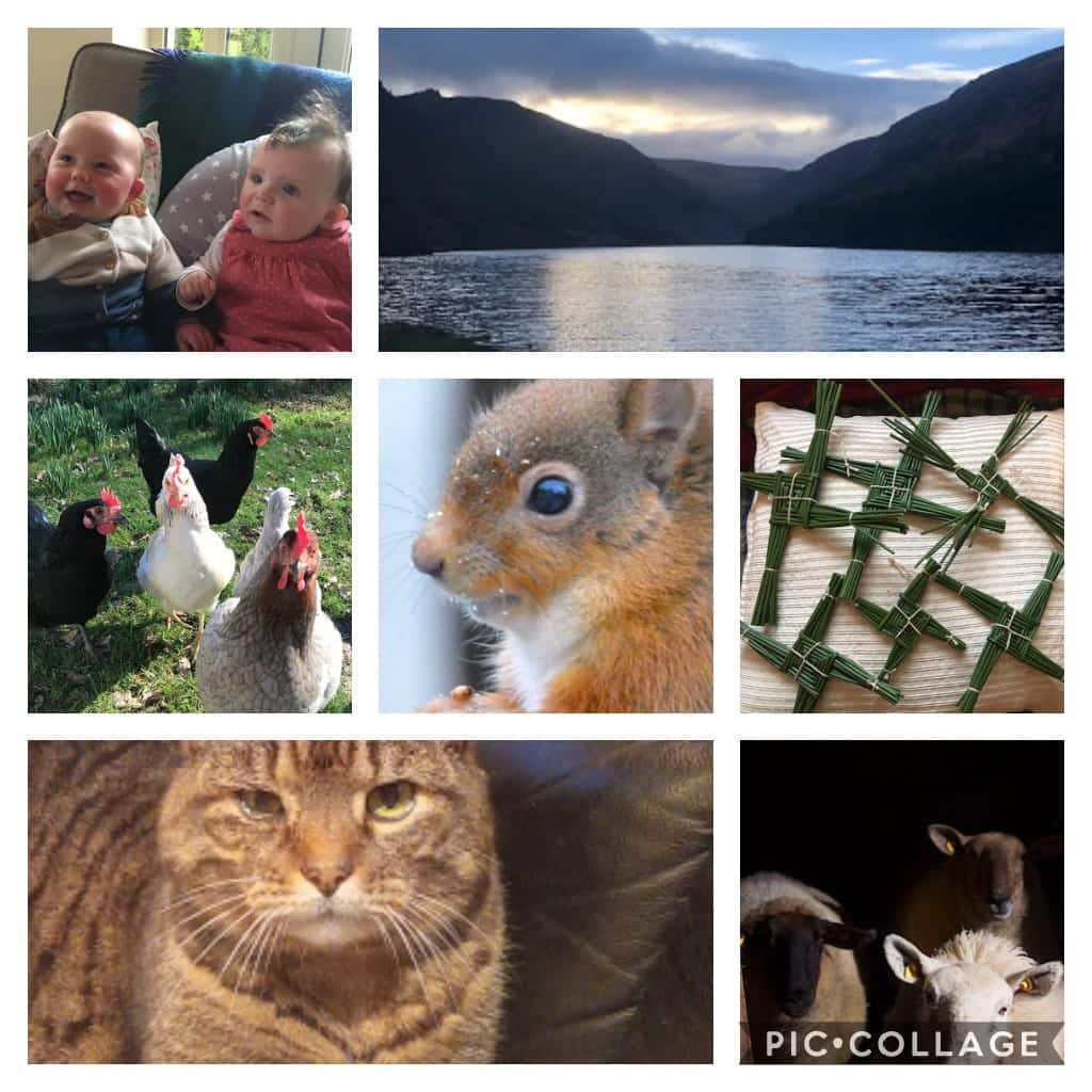 Emily photo collage
