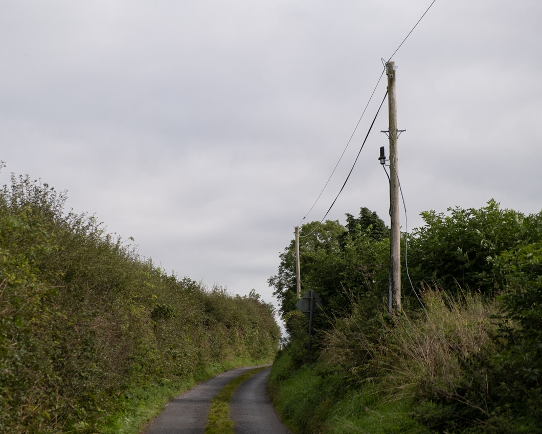 Lyster-1