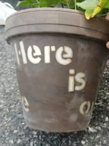 Projectpot1