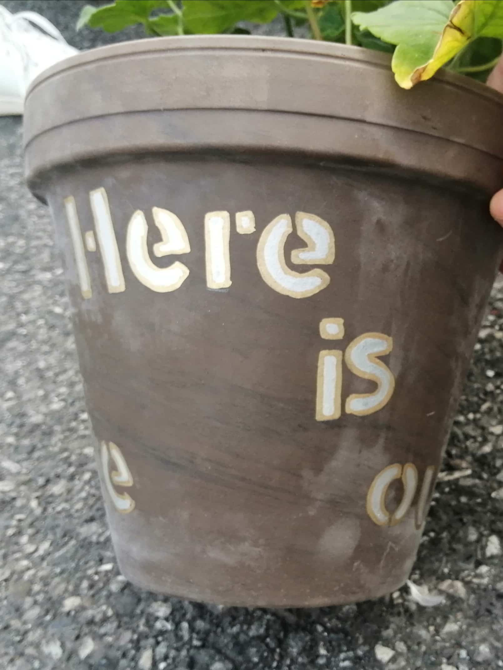 Projectpot1